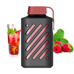 Vozol Gear 10000 Red Mojito Puff