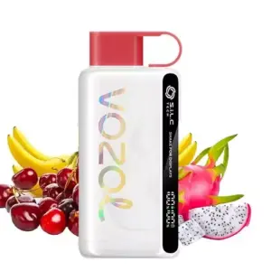 Vozol 12000 Dragon Fruit