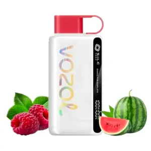 Vozol Star 12000 Puff Raspberry