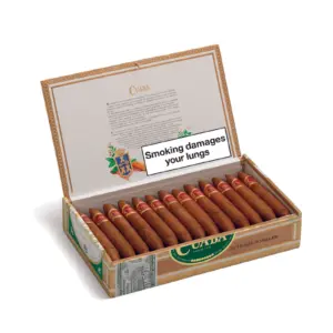 CuabaTraditionales25TPD2