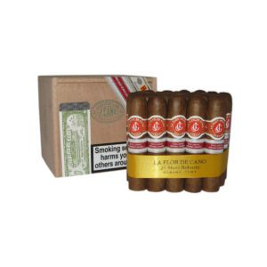 robusto
