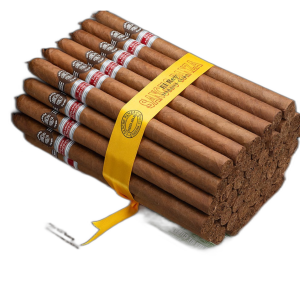 tinywow_change_bg_photo_20956004